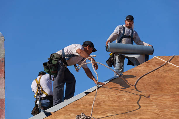 Best Emergency Roof Repair  in Lake Crystal, MN
